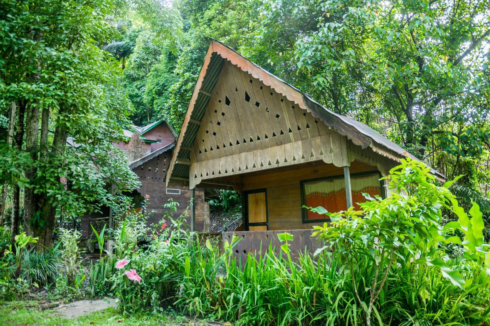 Pak Mus Guest House Ketambe - 0813-7072-1793 Kutacane Exteriér fotografie