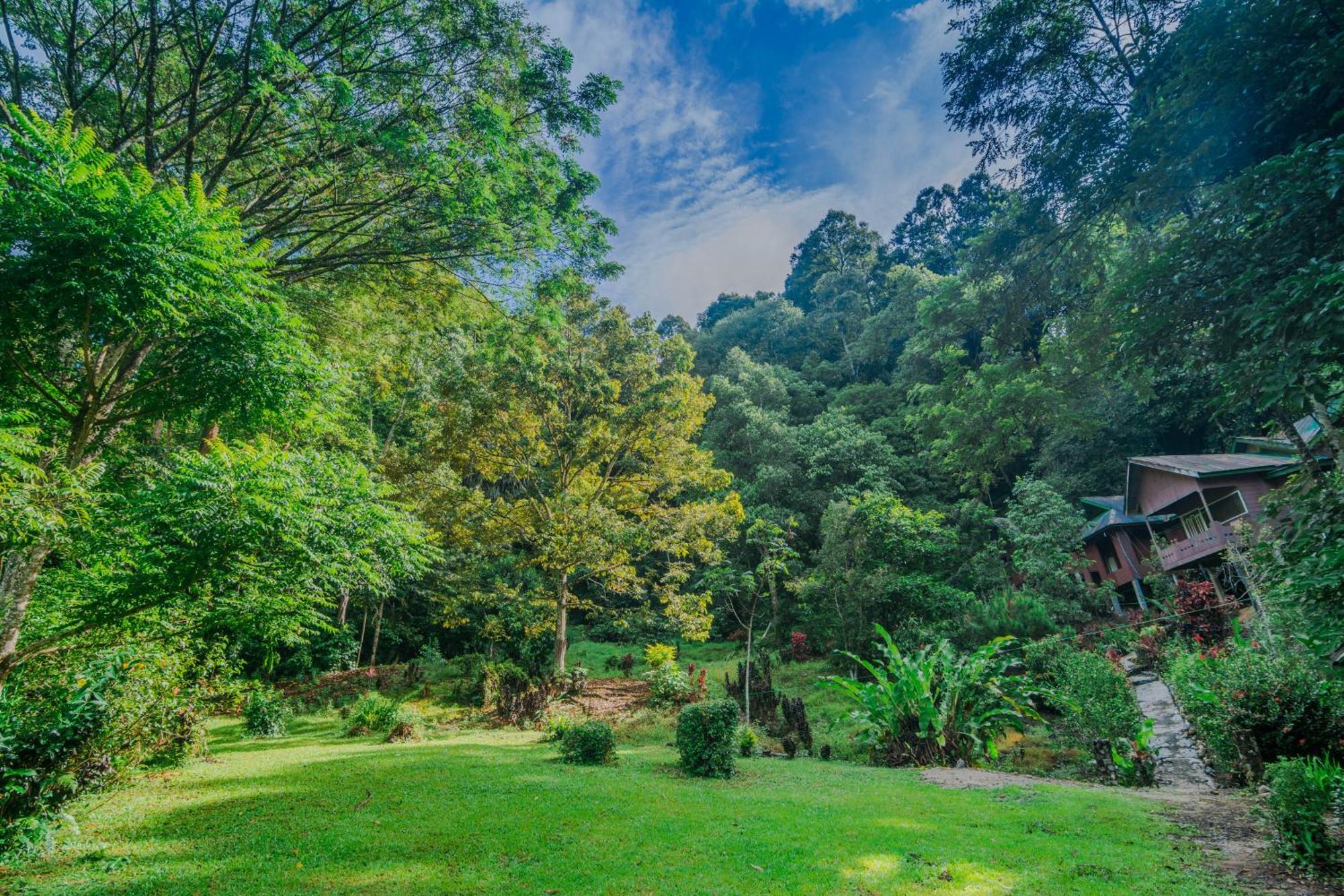 Pak Mus Guest House Ketambe - 0813-7072-1793 Kutacane Exteriér fotografie