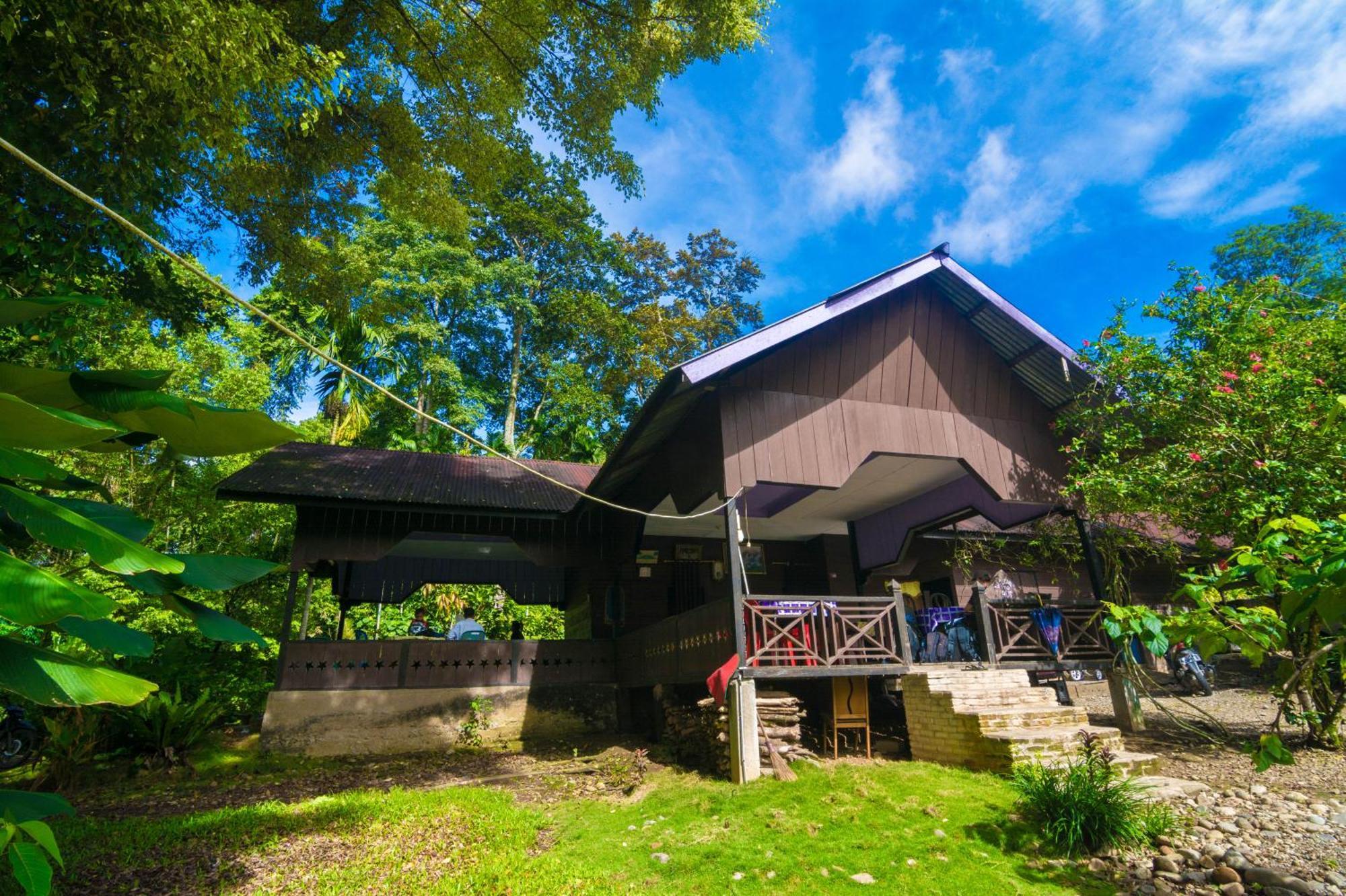 Pak Mus Guest House Ketambe - 0813-7072-1793 Kutacane Exteriér fotografie