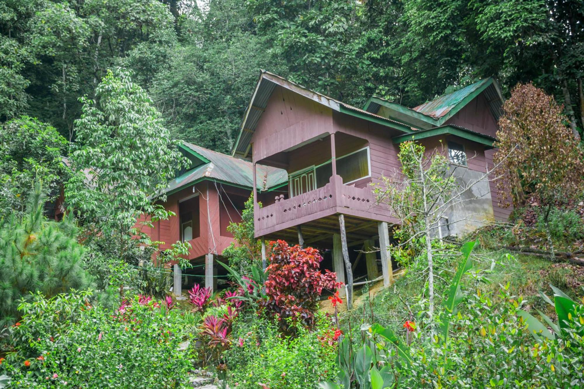 Pak Mus Guest House Ketambe - 0813-7072-1793 Kutacane Exteriér fotografie