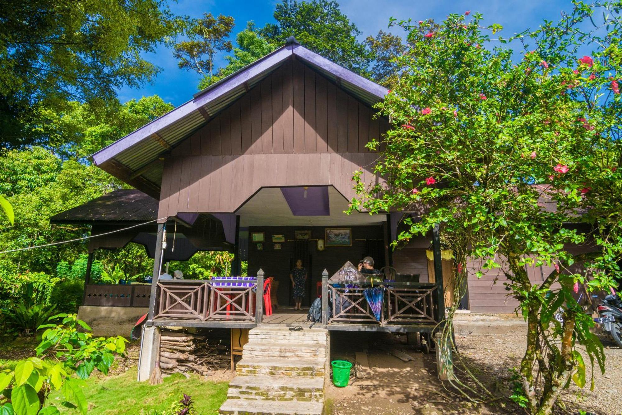 Pak Mus Guest House Ketambe - 0813-7072-1793 Kutacane Exteriér fotografie